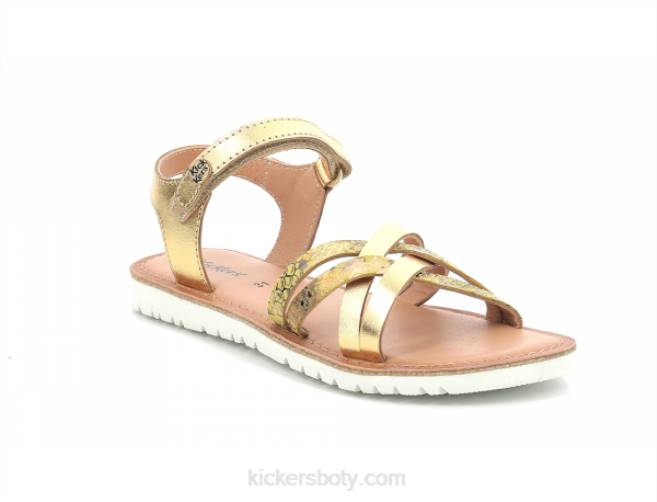 Kickers děti lepší nový zlatý plaz JP26488